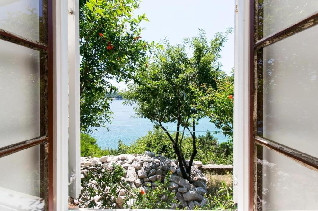 Guest House Simunovic Sudurad Luaran gambar